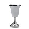 Pewter Water Goblet